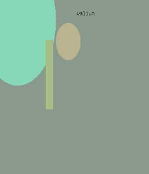 roche valium